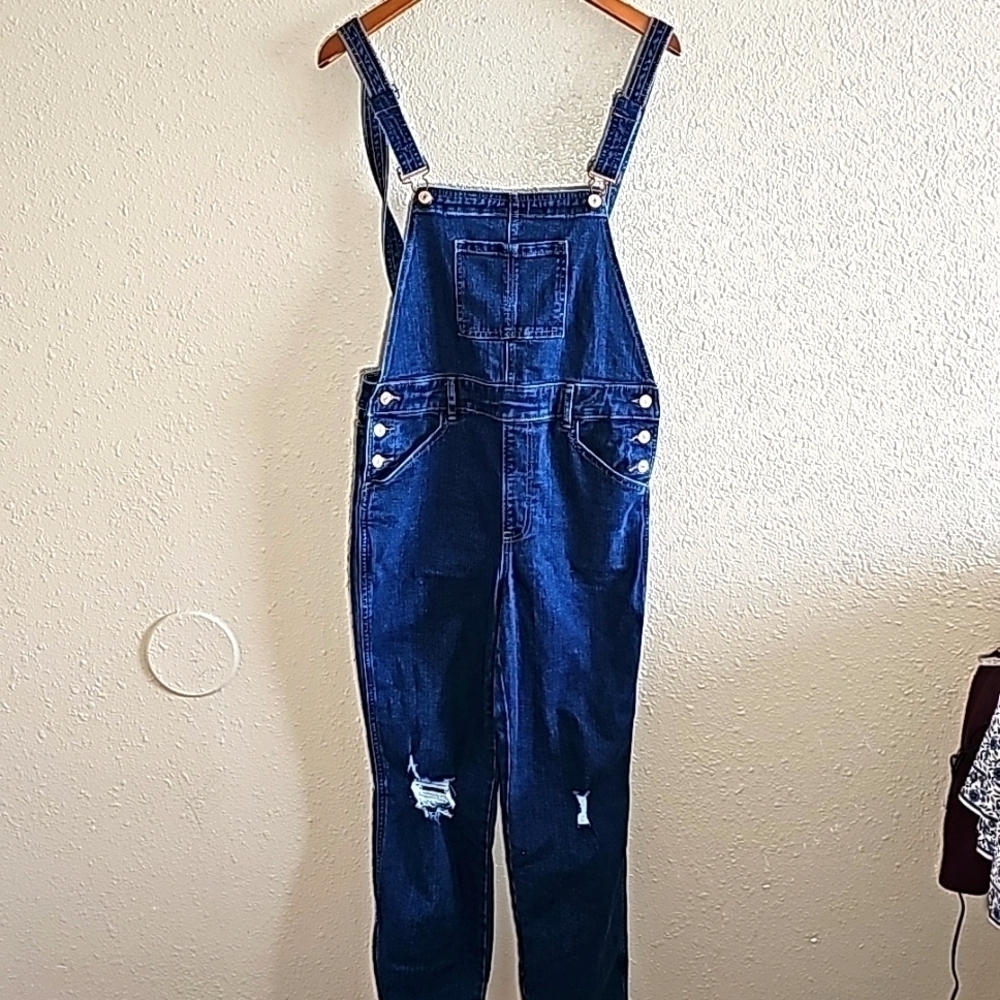 Express Denim Overall